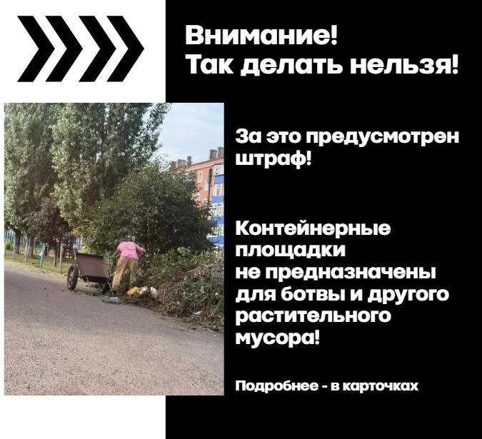 🗑 Ботва и ветки — не к бакам