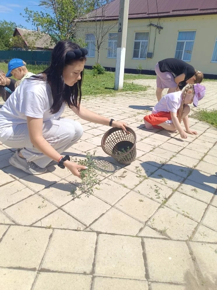День эколога в пришкольном лагере 🌿