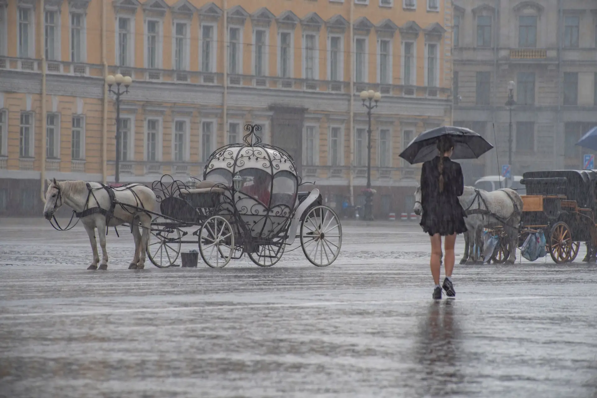 🌧️В Петербурге дождливо и ветрено: температура не превысит +22 градусов