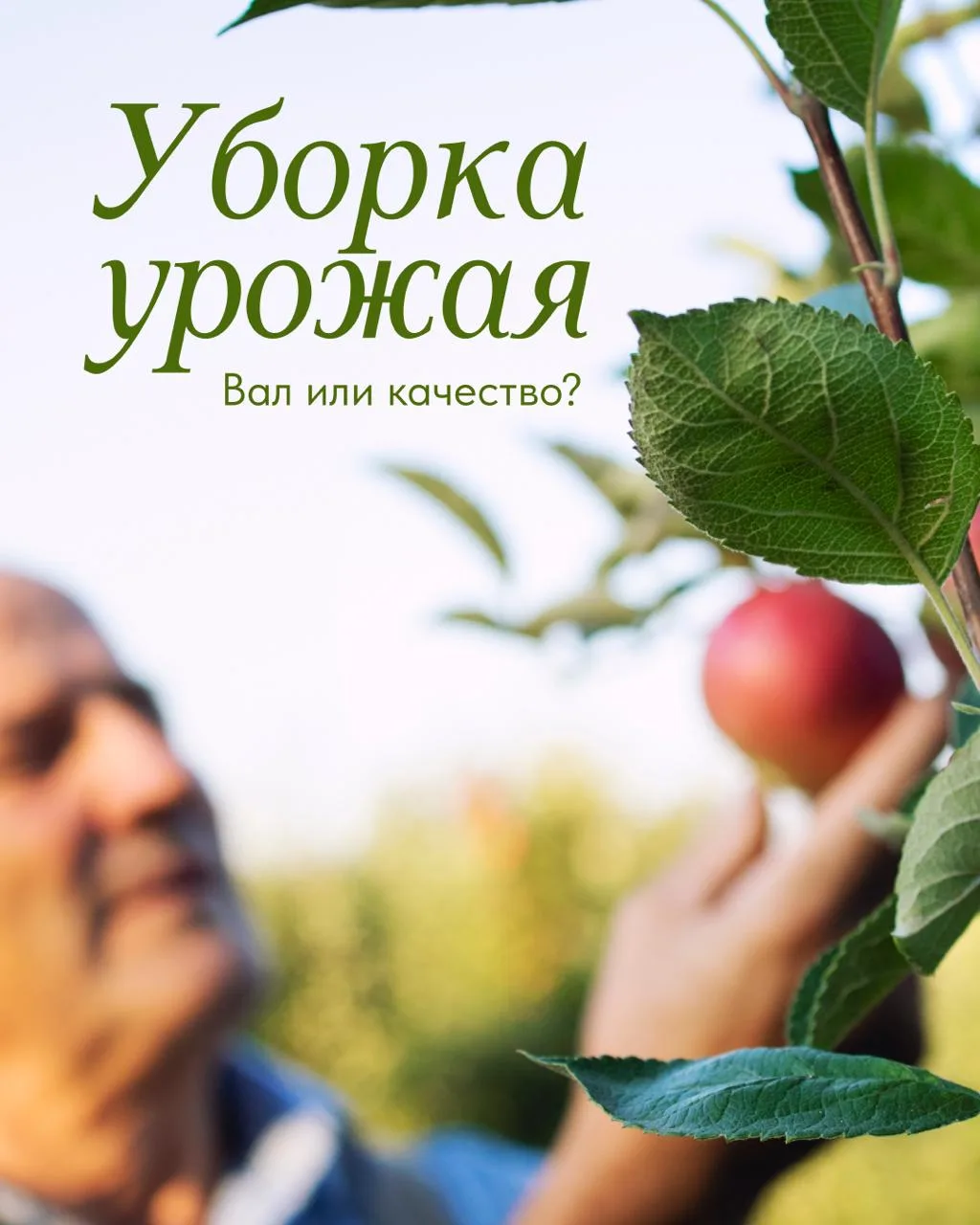 🍏 Уборка урожая