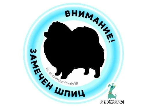 Замечена собака, шпиц (Екатеринбург, Уктус)