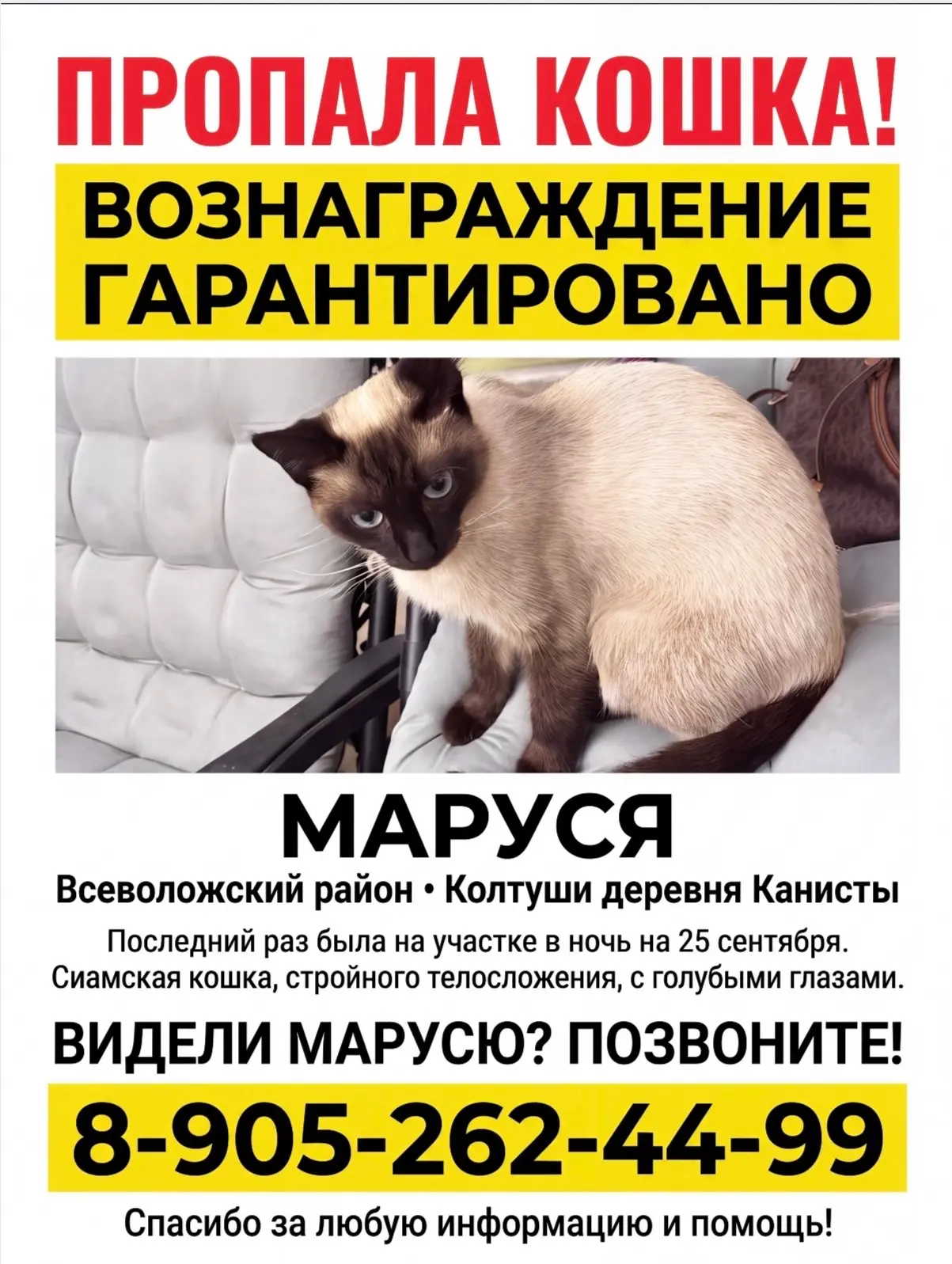 Поиск Маруси продолжается !! Нашедшему вознаграждение 50000₽ !