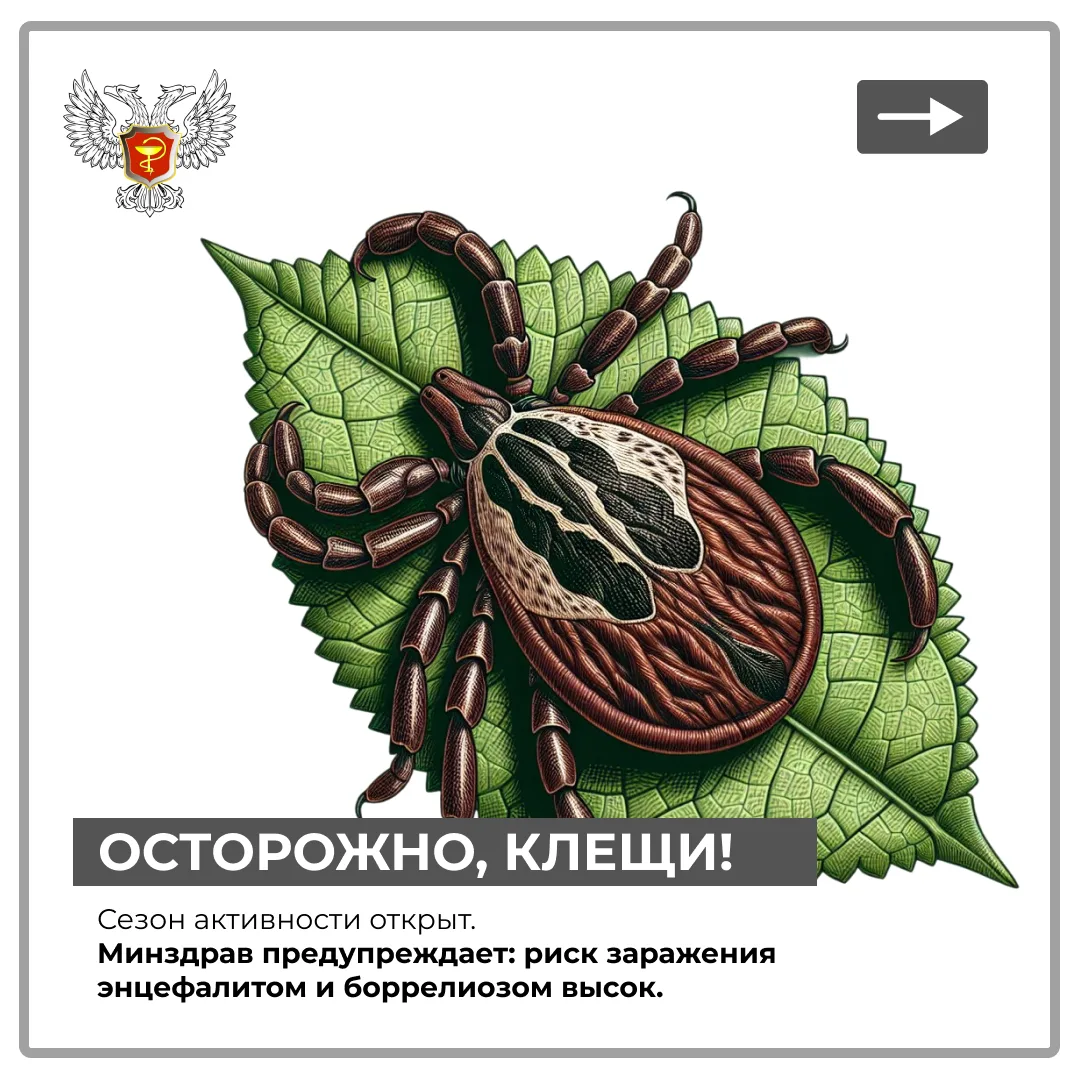 Не шутите с клещами. Один укус — и последствия могут быть на всю жизнь: энцефалит, борр...