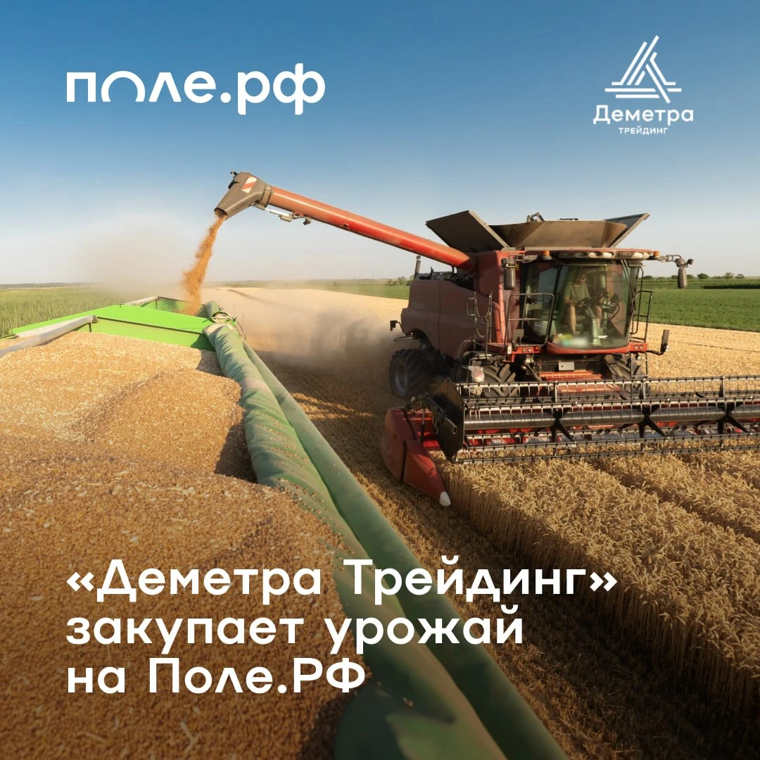 ⚡️ Время продавать урожай!