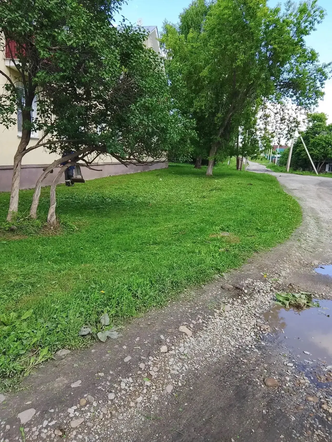Скос травы вдоль МКД
ул. Оглоблина, д. 93
с. Тирлянский