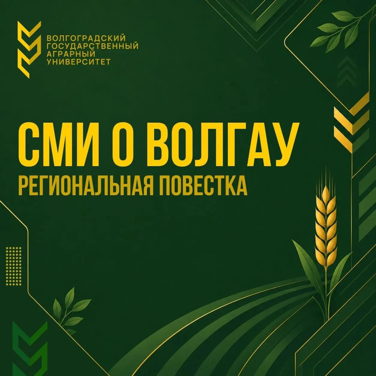 📰 СМИ о нас: учёные ВолГАУ делают УЗИ осетрам
