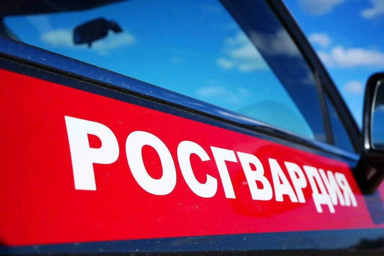 🚫ПИКНИК НЕ УДАЛСЯ