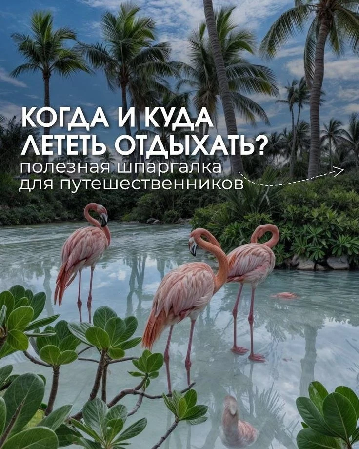 🗺 ШРИ-ЛАНКА - КОГДА И КУДА ЛЕТЕТЬ?