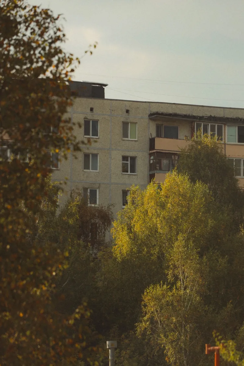 Вечер вступает в силу🌸