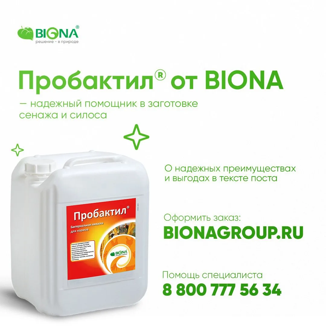 ТРЕВОГА❗⏰