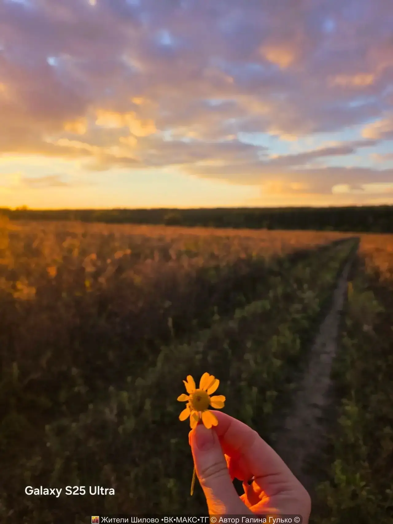 🤩 Это не просто фото! Это настоящее искусство видеть красоту в наших краях!