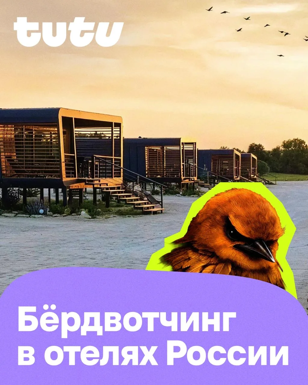 Внимание, сейчас улетит птичка!
