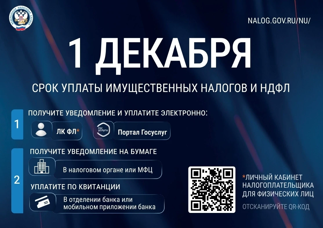 #налог
