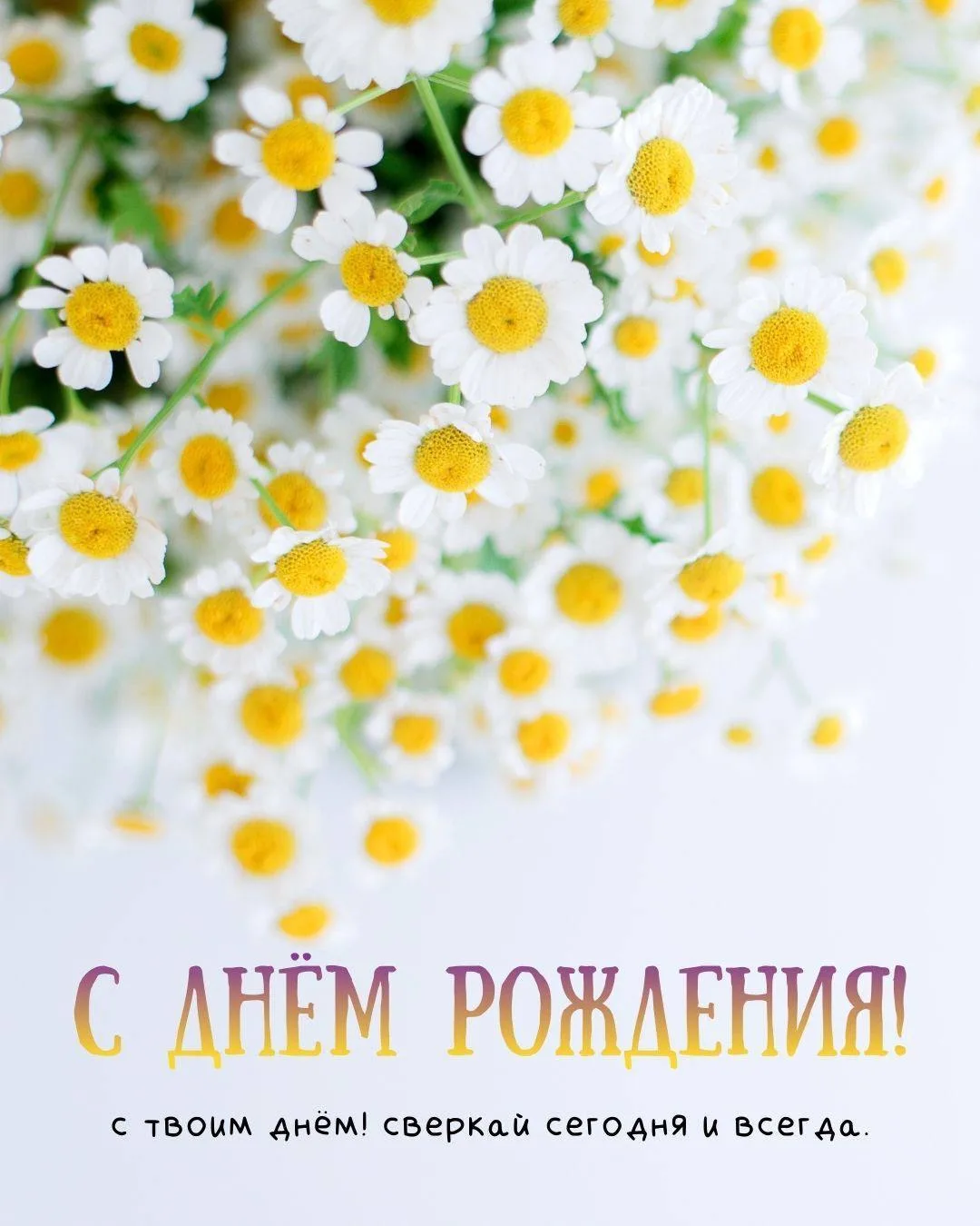 #СДнемРождения

Поздравления💌Подписаться

👉Выплаты и Льготы