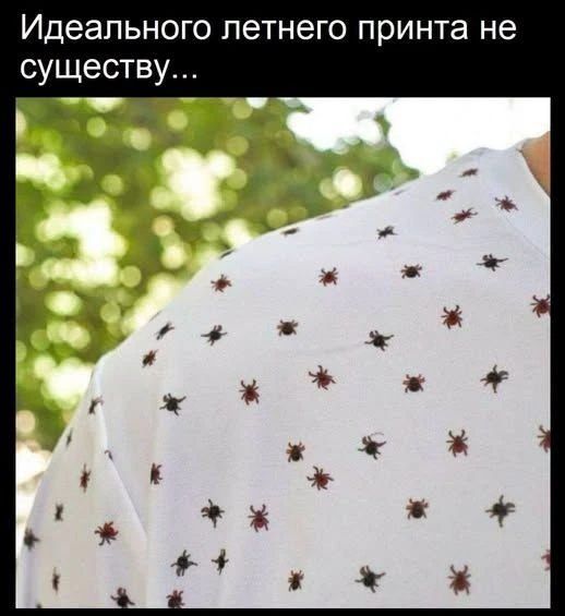 😅