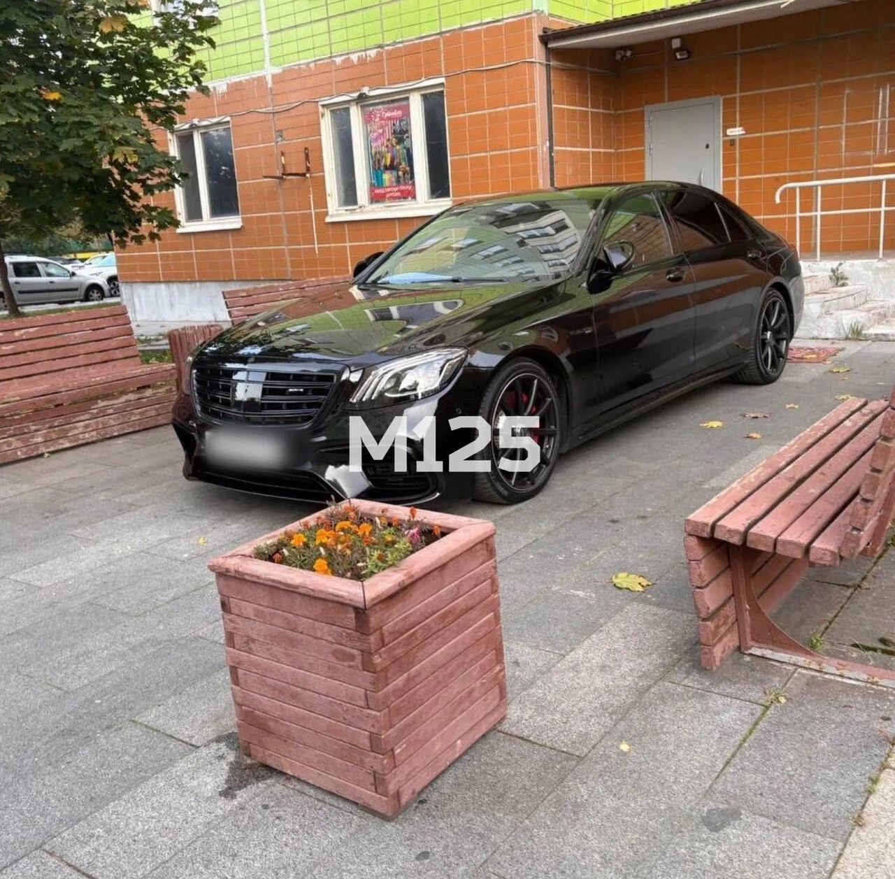 Не царское дело до кареты далеко ходить