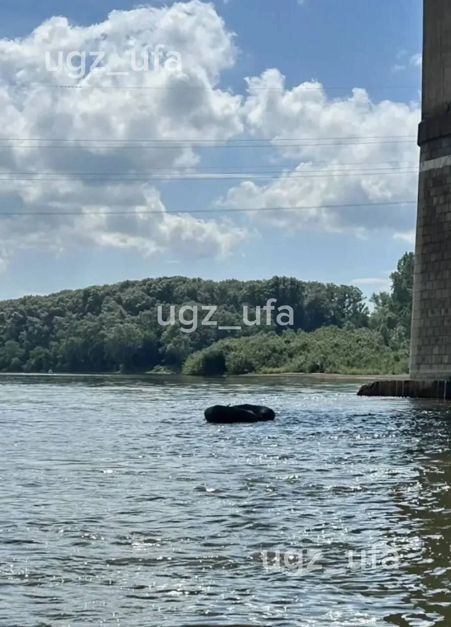😨 В Уфе спасли рыбака с тонущей лодки