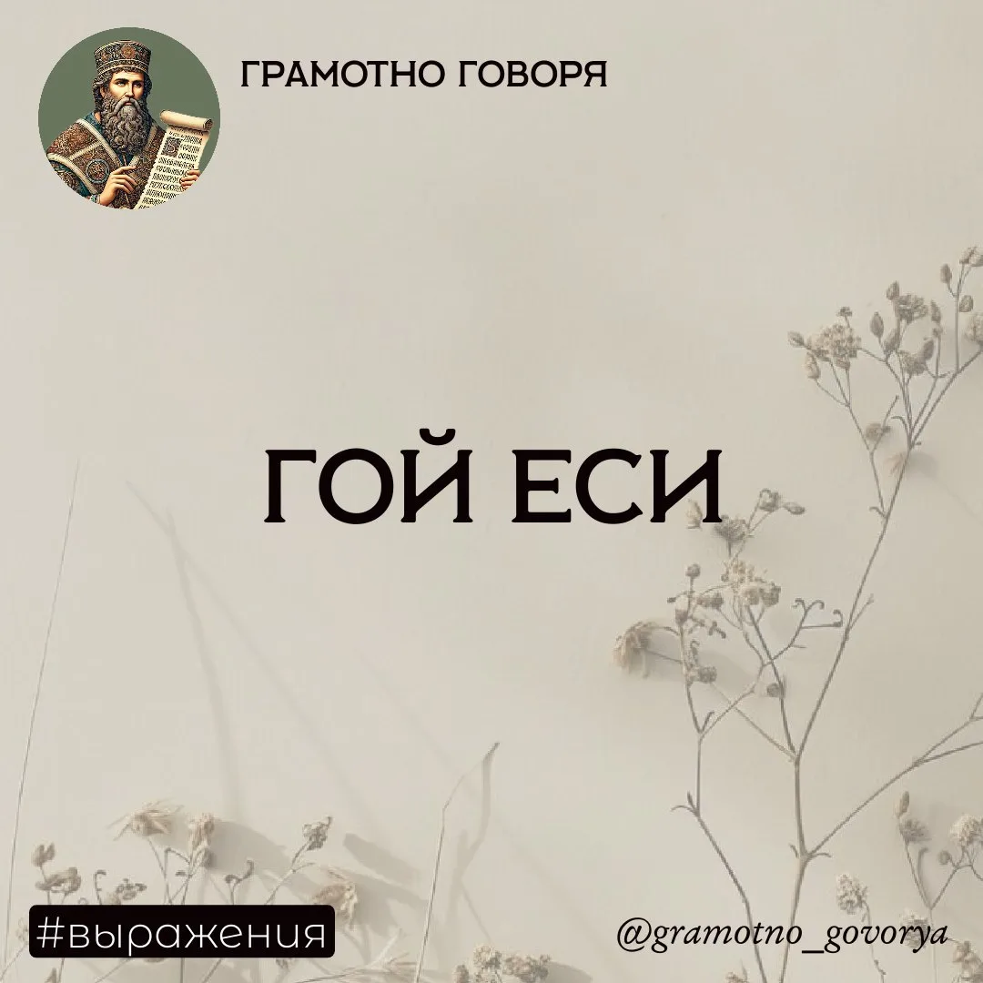 Гой еси — что это значит?

Эта фраза – приветствие, аналог нашему сегодняшнему «здравствуй» или «буд