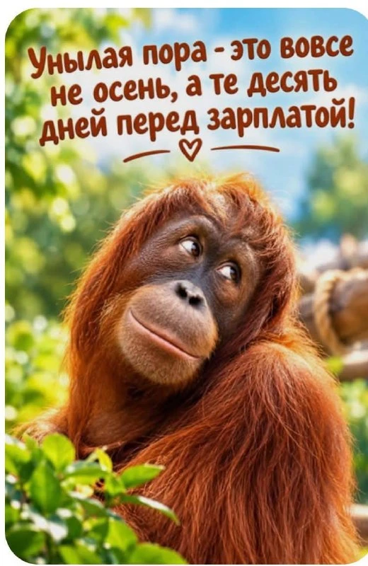 Вам открытка 💙