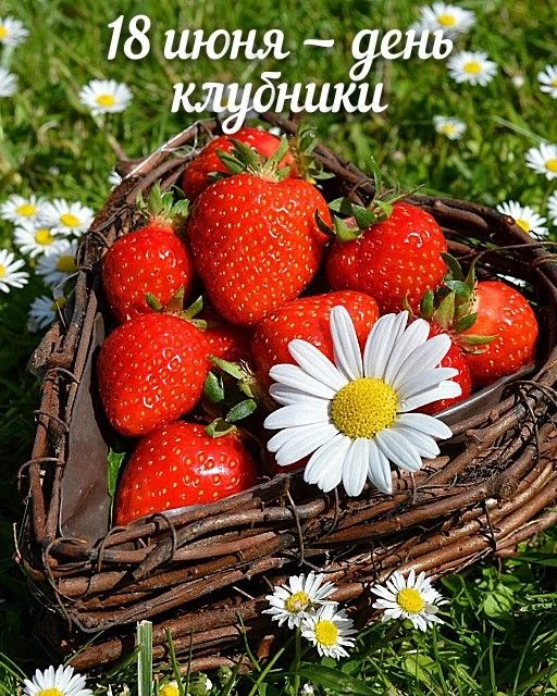 День клубники!