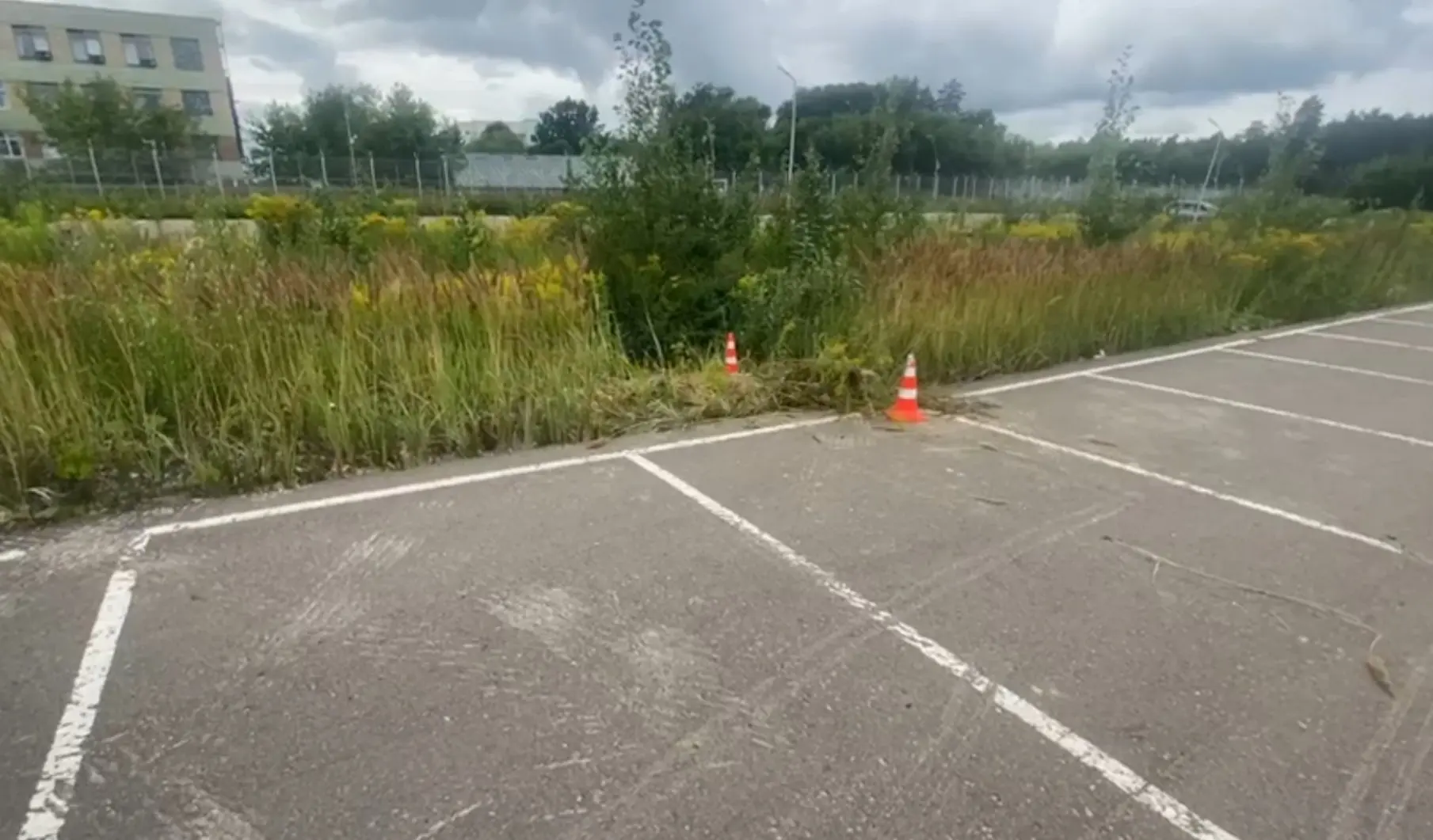 🚗 Ночное ДТП на Южном шоссе: водитель не справился с управлением

30 июля в 01:56 на автомобильной 
