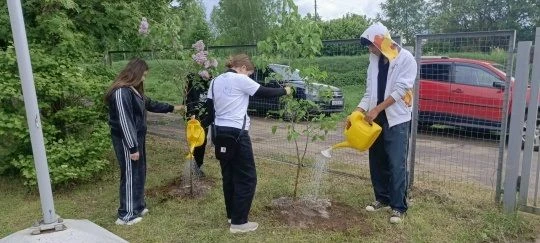 Акция «Деревья вместо шаров»♻️ ☘️В Ярославской области стартовала экологическая акция, которая меняе