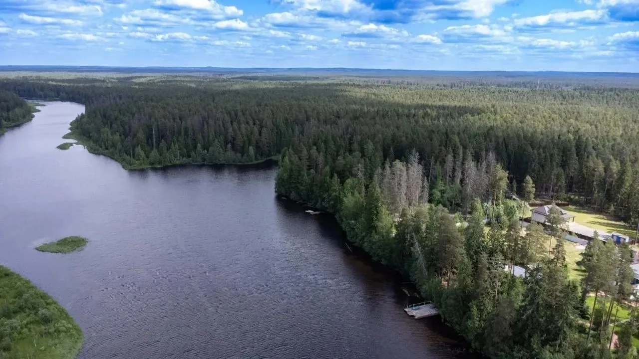 Уникальное домовладение в гп Рощино.    Участок 17 соток,  отдельный выход в лес. До ре...