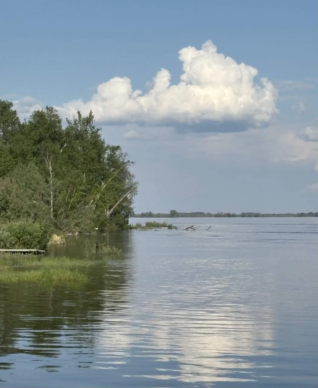 Уровень воды в р. Обь 15 июня 1024 см (опасная отметка 1030), за сутки увеличился на 4 см. Температу