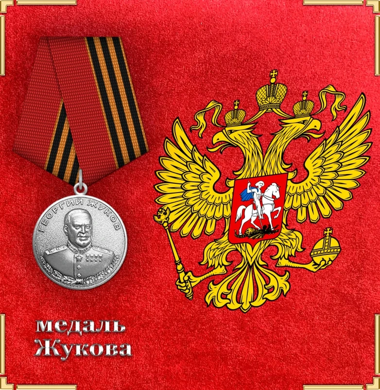 Подмосковный суд встал на сторону ветерана и приравнял медаль Жукова к орденам РФ