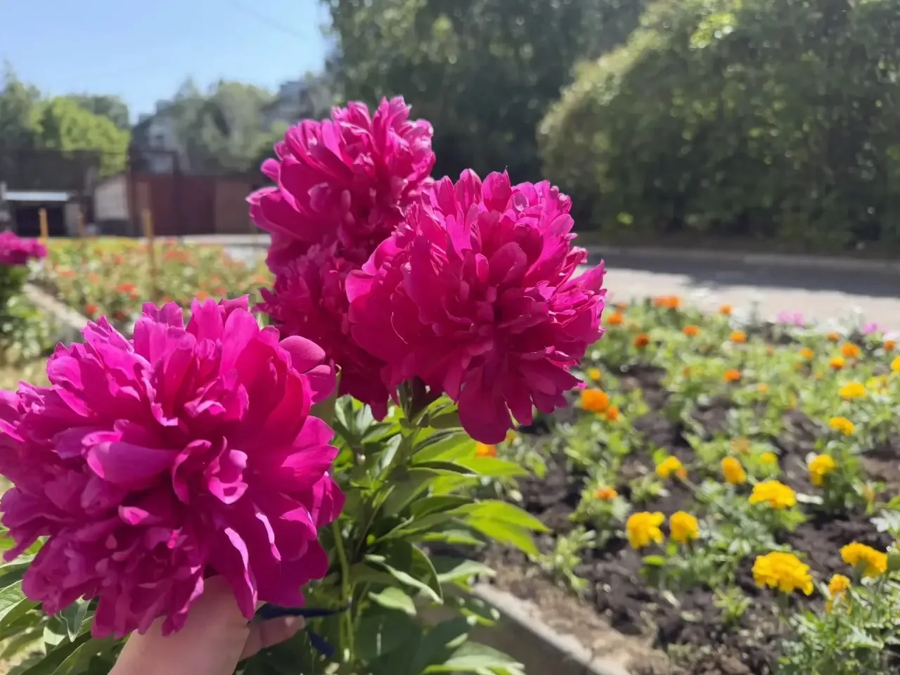 🌿 Наш школьный двор преобразился!

Школьная клумба полностью преобразилась и стала главным украшени
