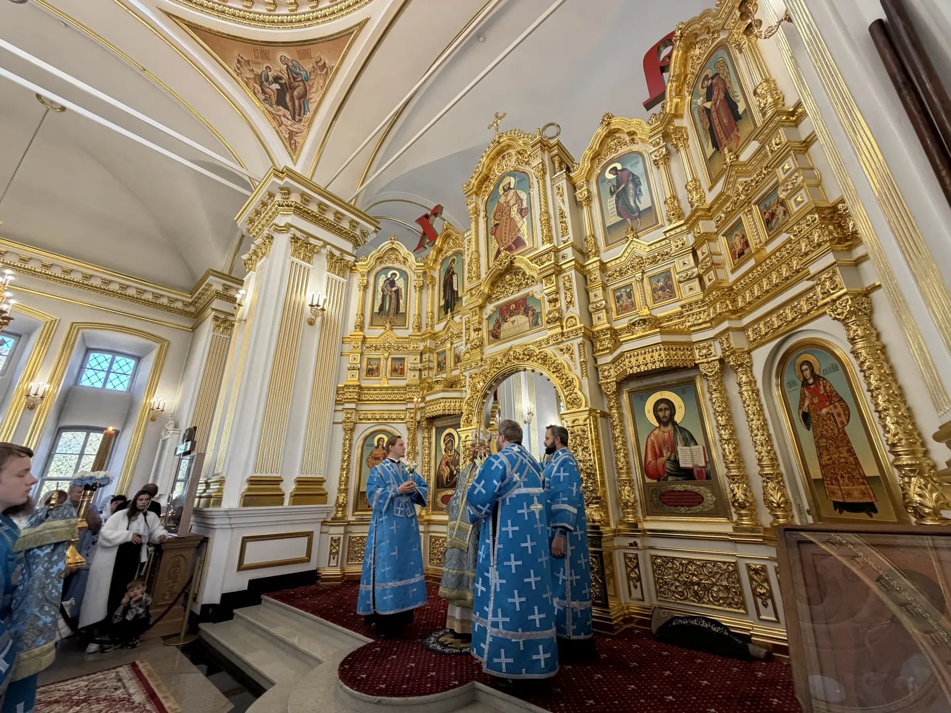 #СитниковНаСвязи