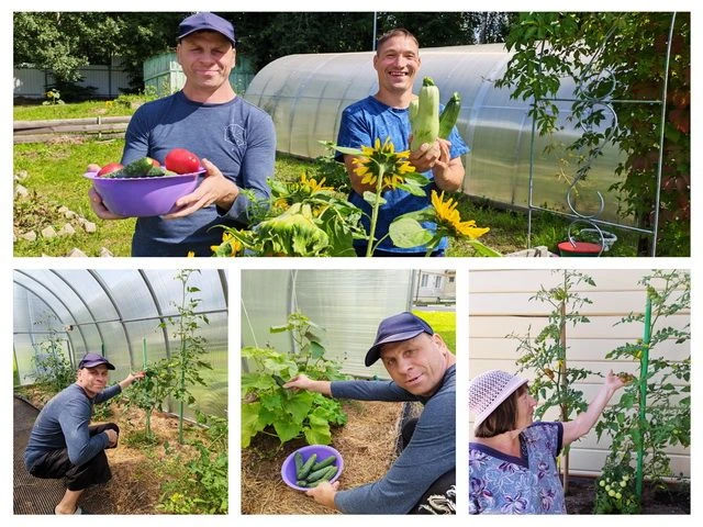 🍅🌿 С ранней весны в нашем филиале в селе Воронино кипит работа. Наши подопечные превр...