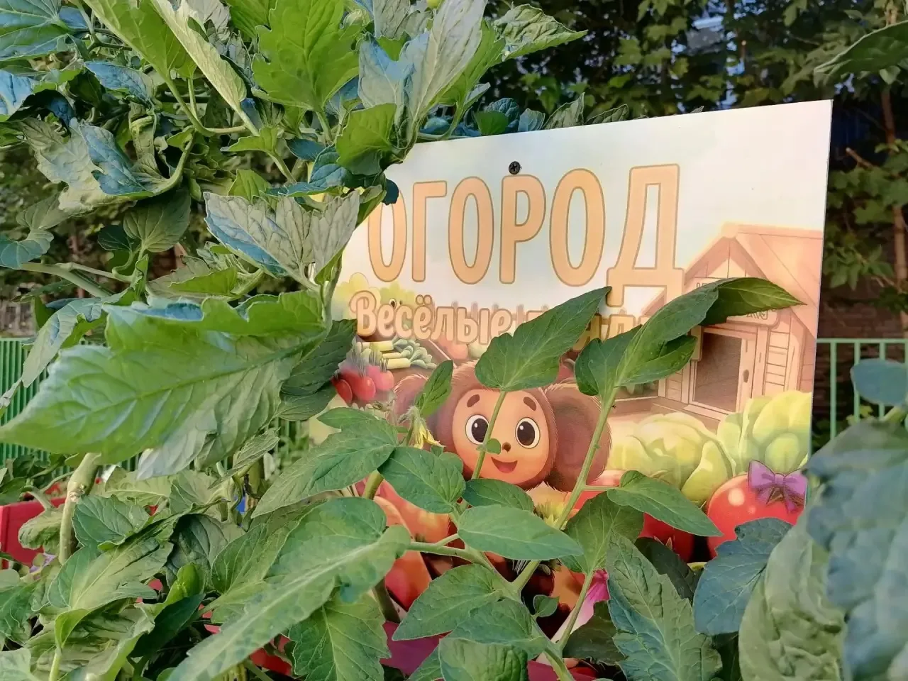 🐻 Дошкольное отделение «Чебурашка»

Всё началось в мае с нескольких ярких грядок и маленьких семян.