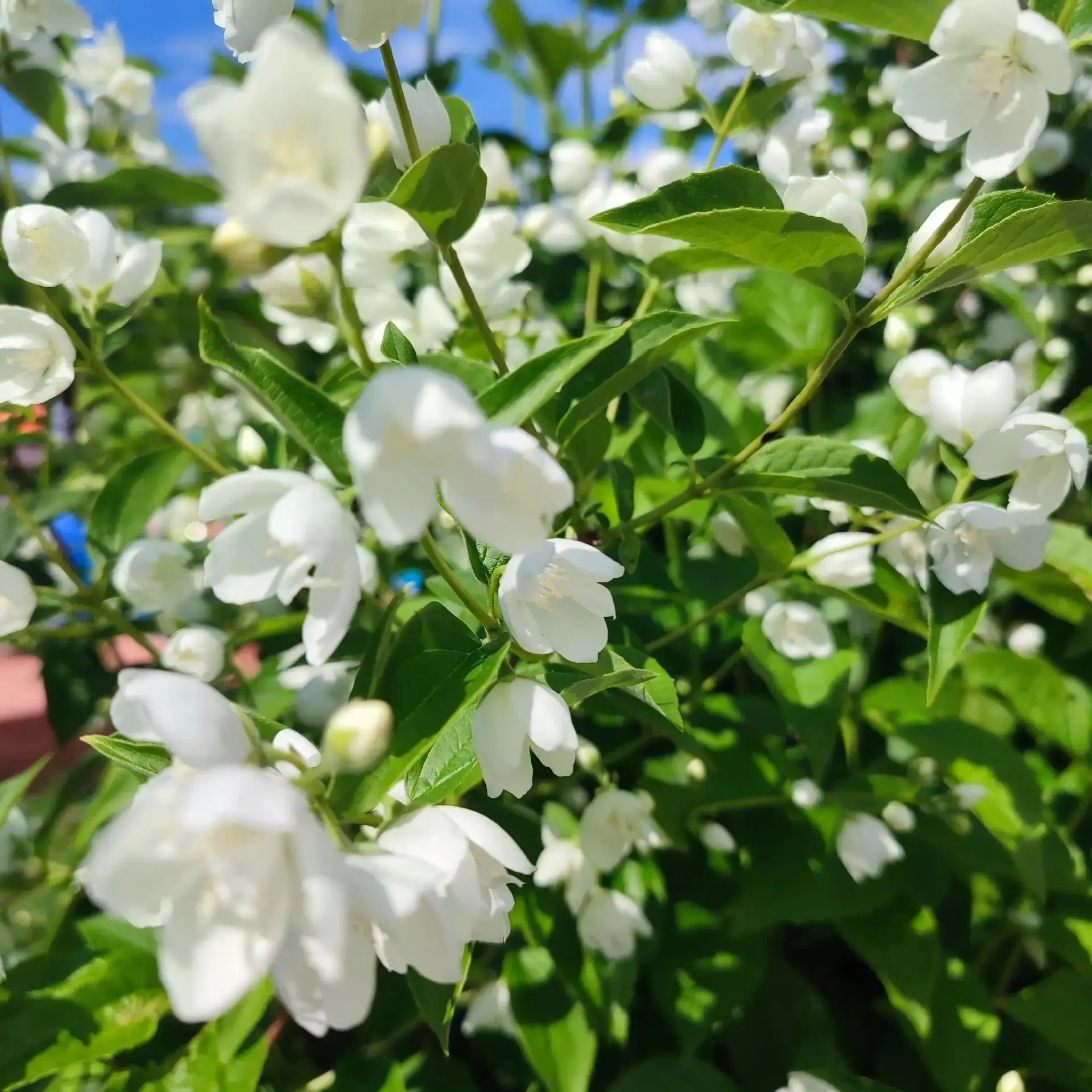 Доброй ночи, Ульяновск! ❤️

Благодарим за фотографии нашу подписчицу!

Если и у вас есть что показат
