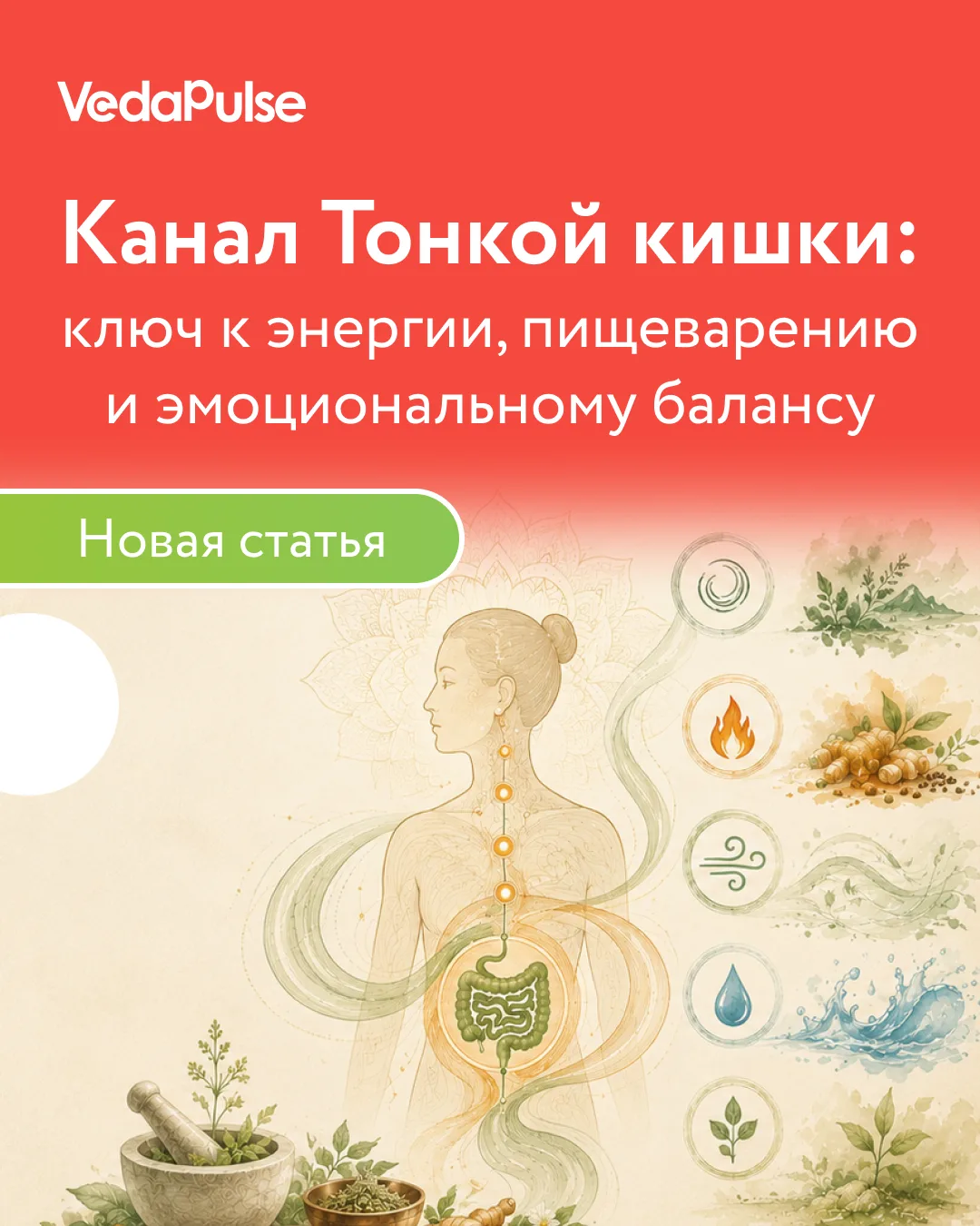 Канал, который влияет на энергию, иммунитет и настроение 

Почему в традиционной китайской медицине 