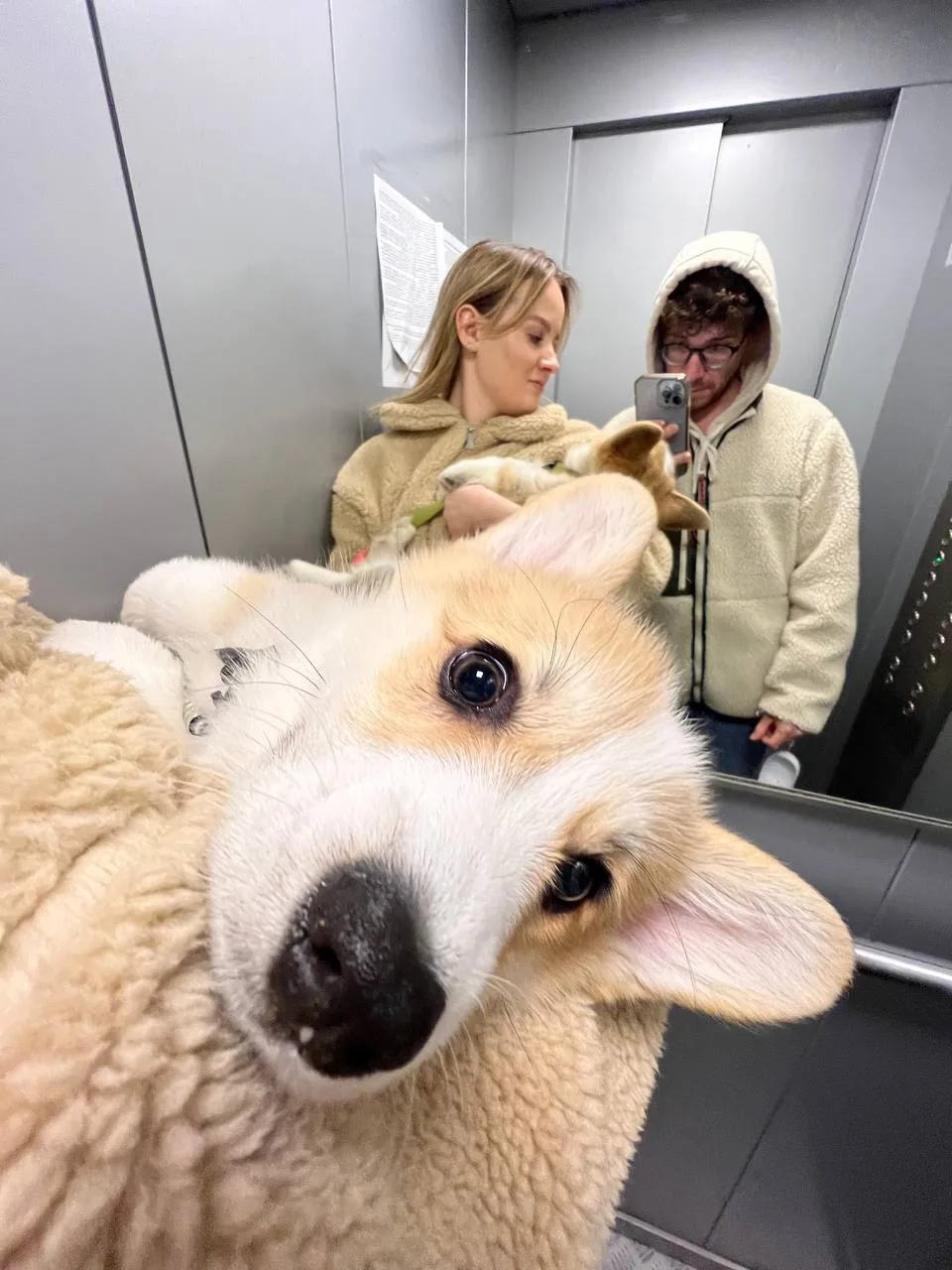 Погуляли 2