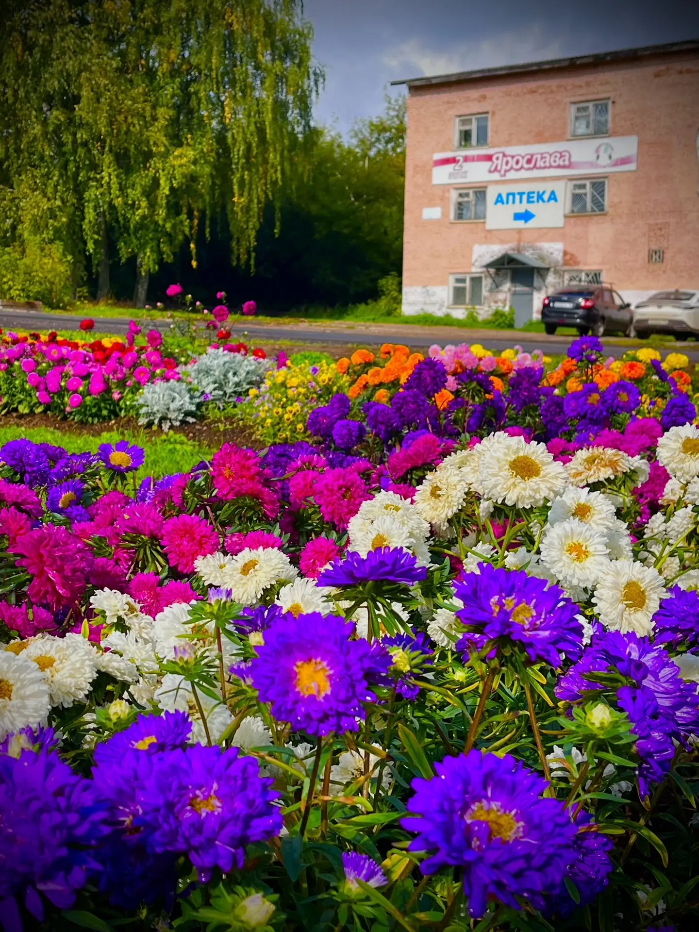 Привет, новый день😊