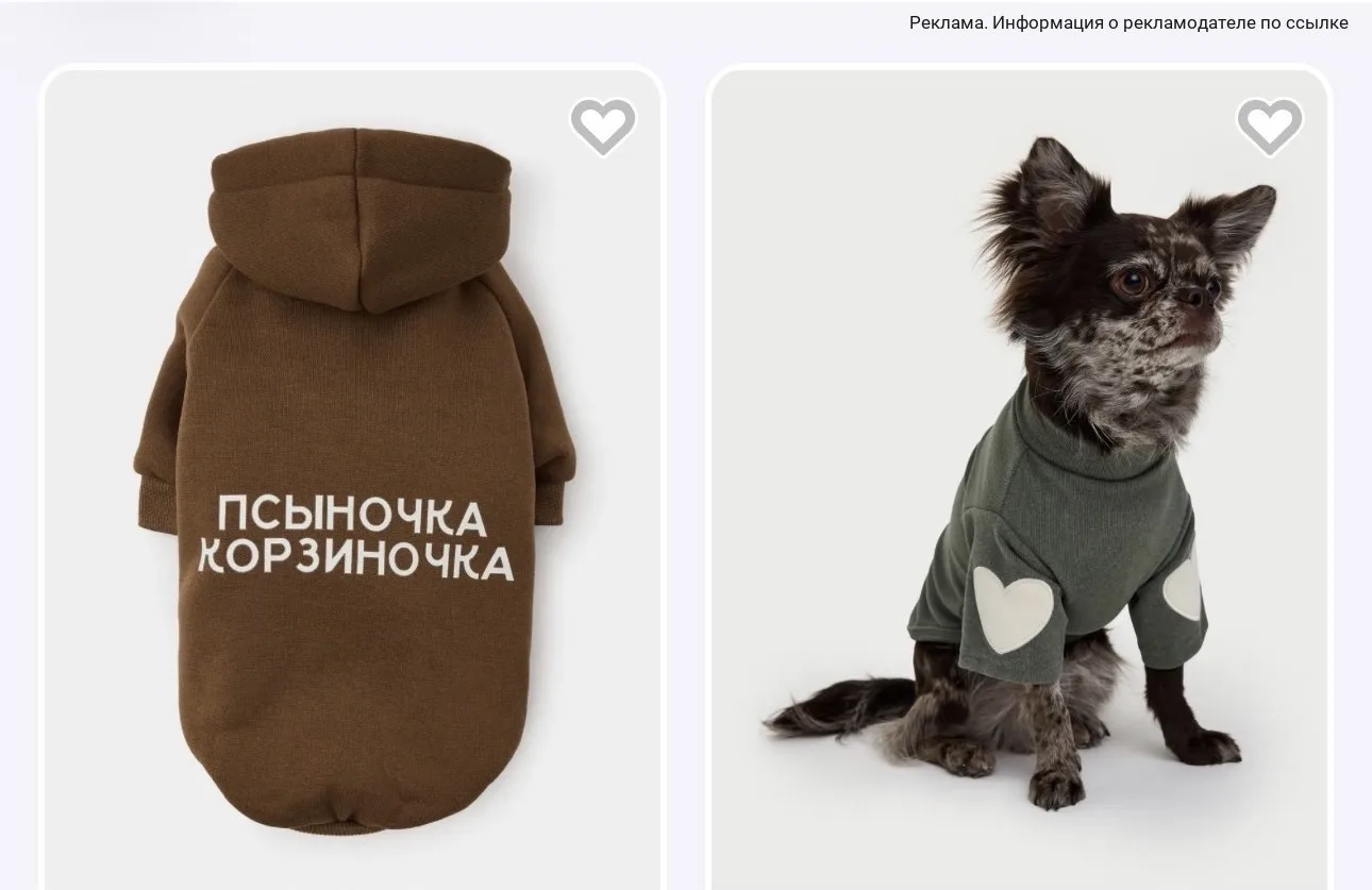 Какие новинки для пушистиков 🤩