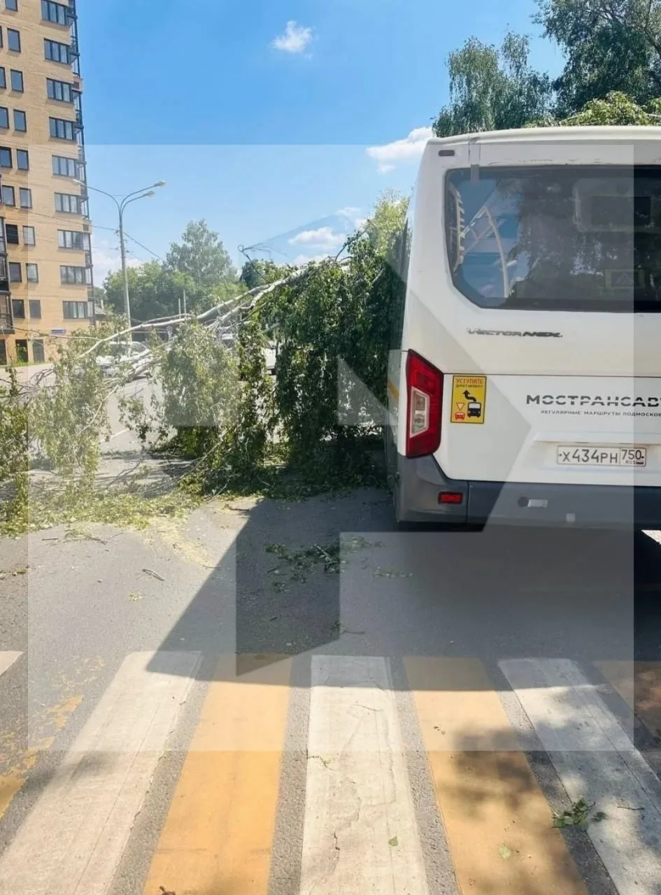 В Щёлкове огромное дерево рухнуло прямо на автобус с пассажирами 🌲🚌

ЧП произошло на автобусной ос