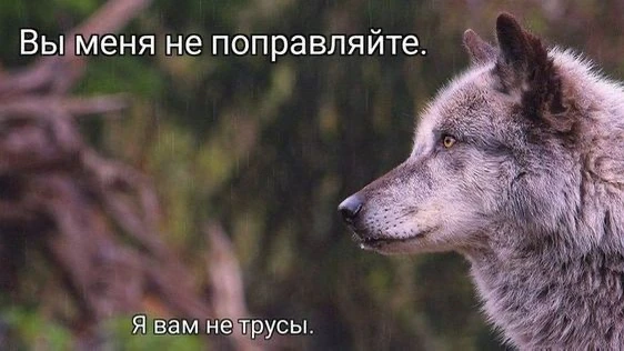 ЛЕВ, 22 июня. Пусть каждый запомнит это о тебе

🛑Твои личные предсказания судьбы в нашем боте - max