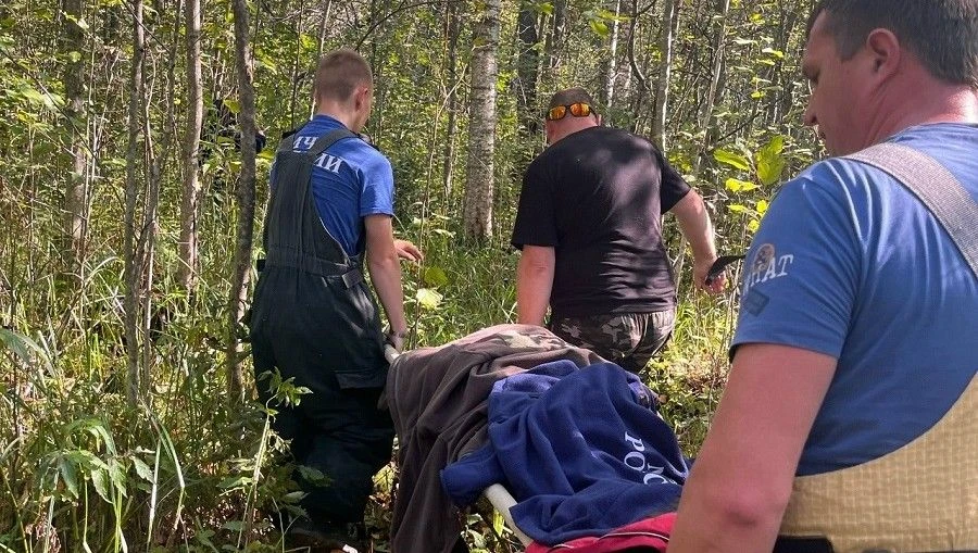 В Лихославльском районе завершили поиски пропавшей в лесу женщины