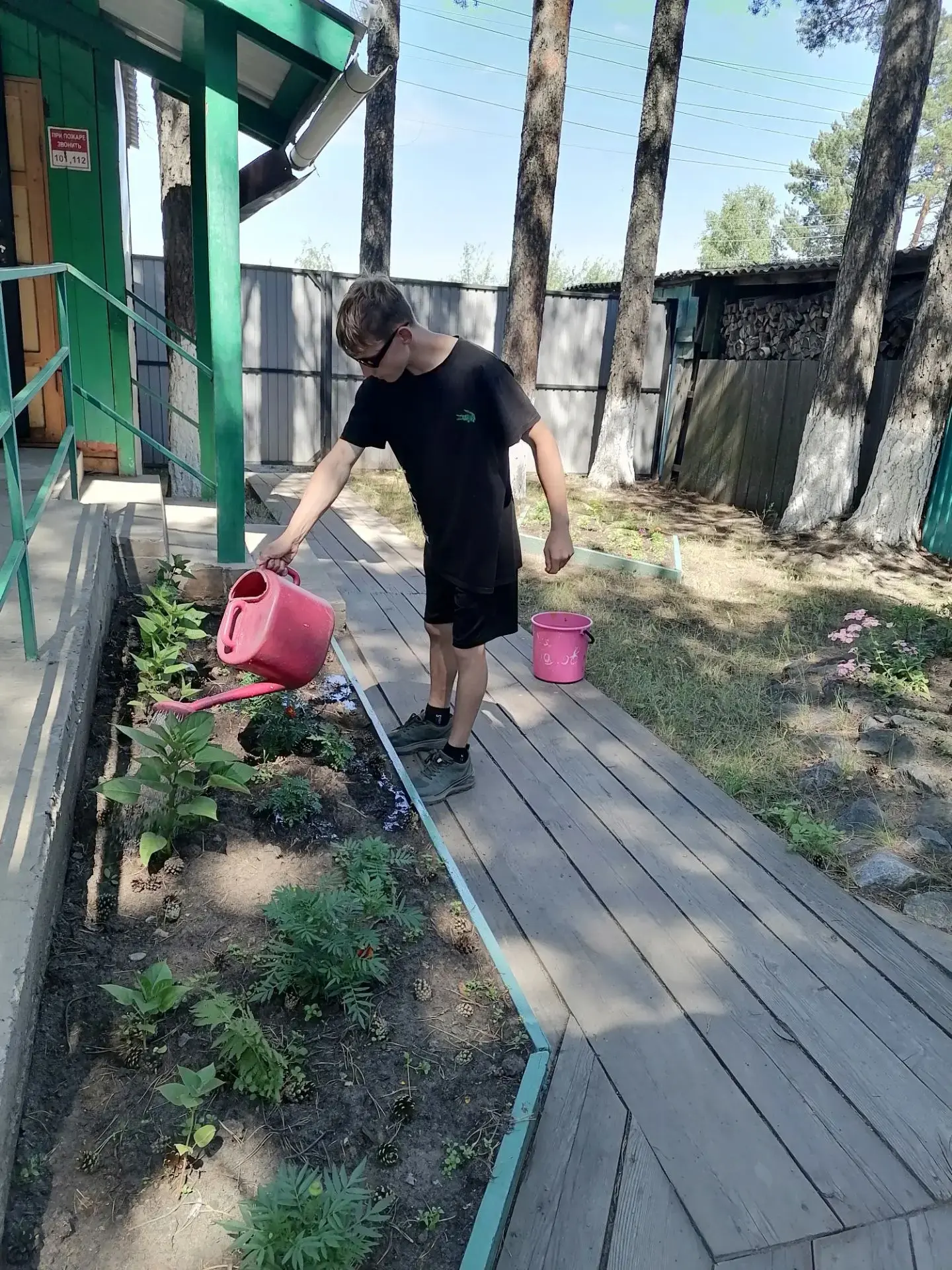 🌿 Гарденотерапия: когда забота о растениях лечит душу и тело! 🌿

Знаете ли вы, что простой полив к