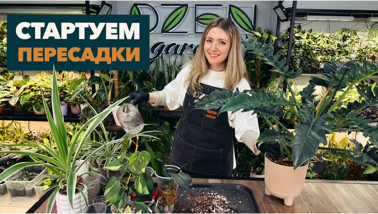 На канале новое видео с пересадкой. Приятного просмотра!