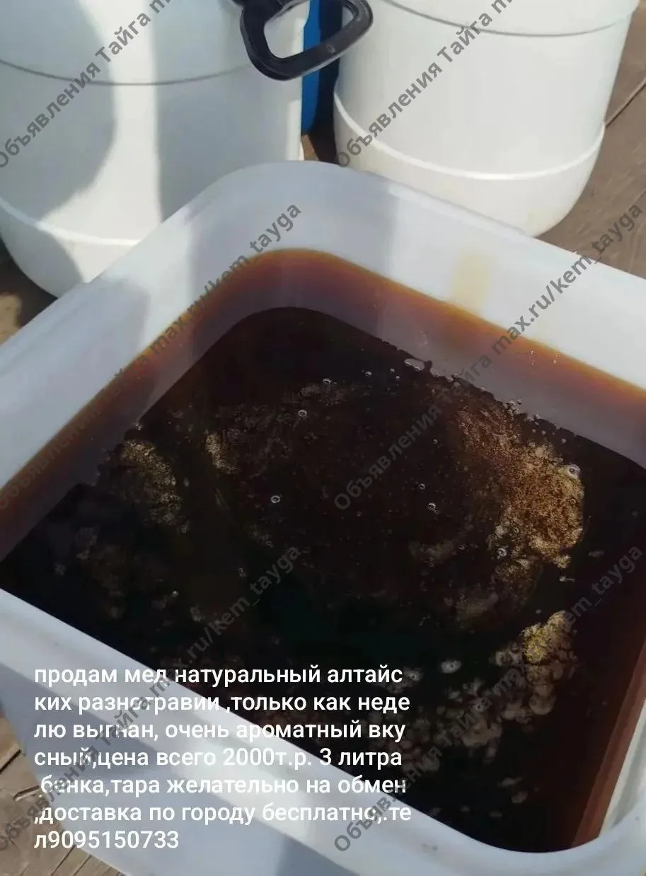 (без текста)