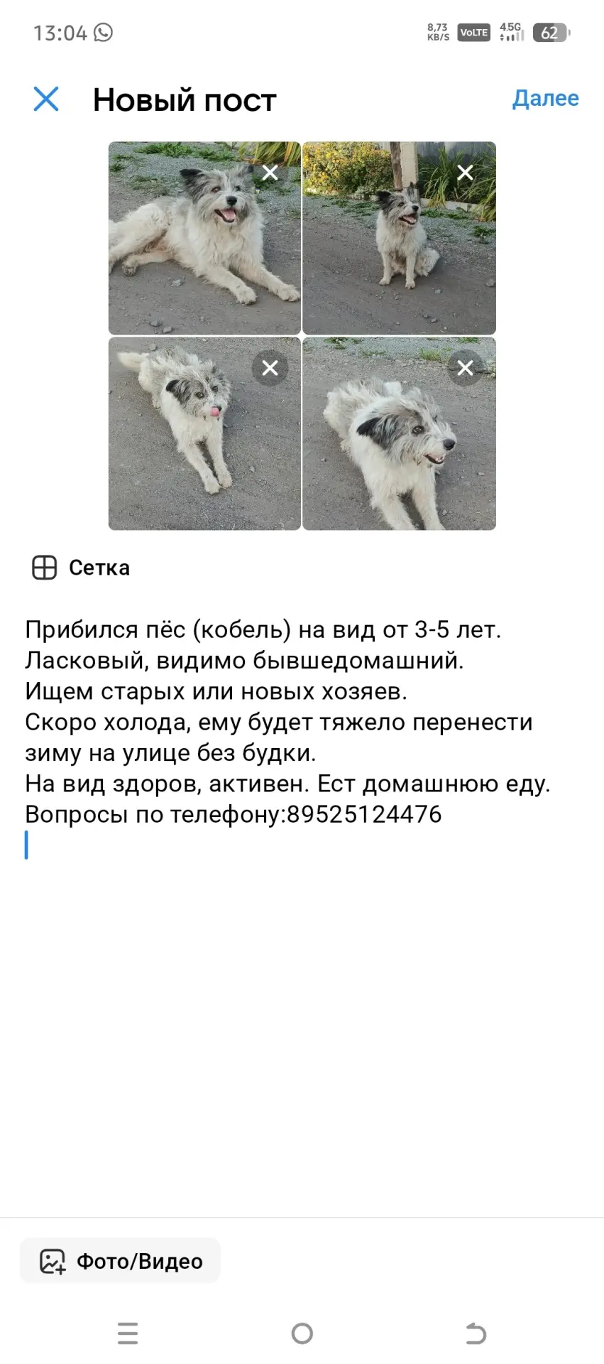 Ищем старых или новых хозяев.