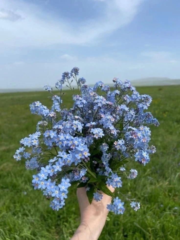 Секреты Свободных Людей:
