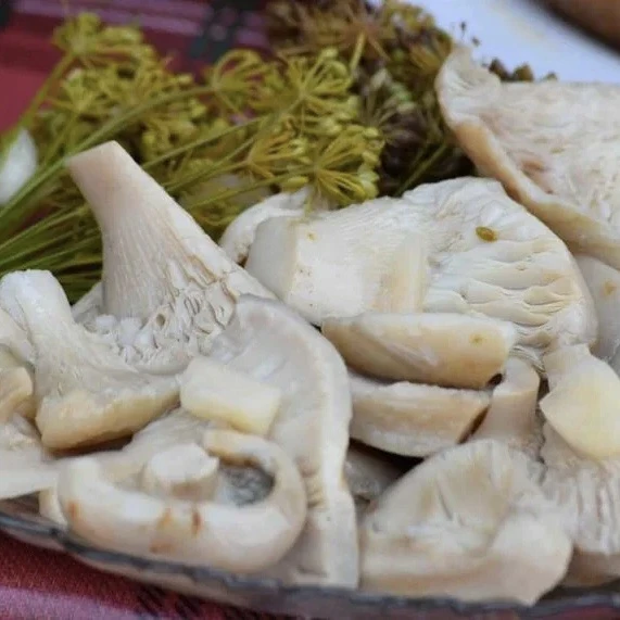 🍄 Солёные грузди: рецепт, по которому их ели наши деды