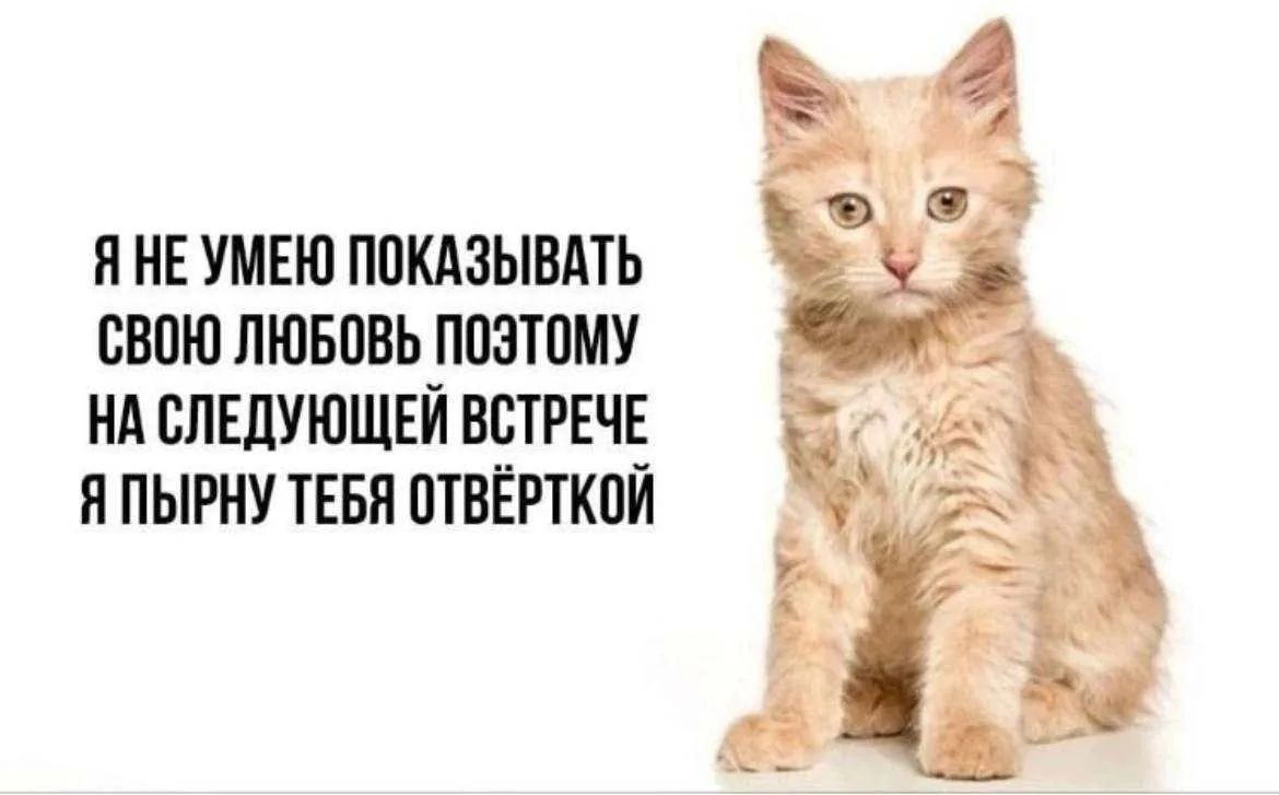 Ставь лайк! ❤️