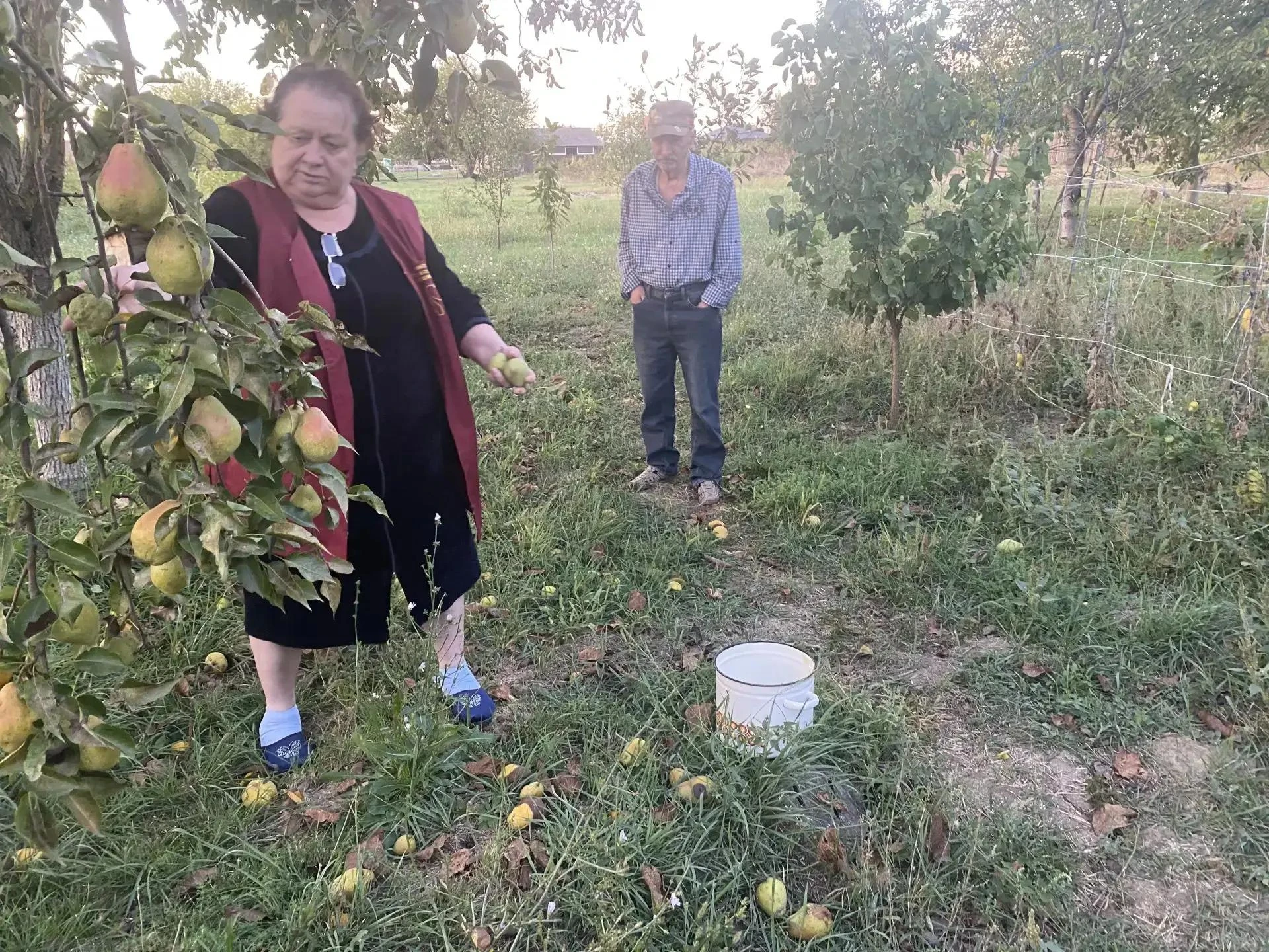 🍁 Осень — время золотых листьев и заботы о подготовке к зиме. В этот уютный, но ответс...