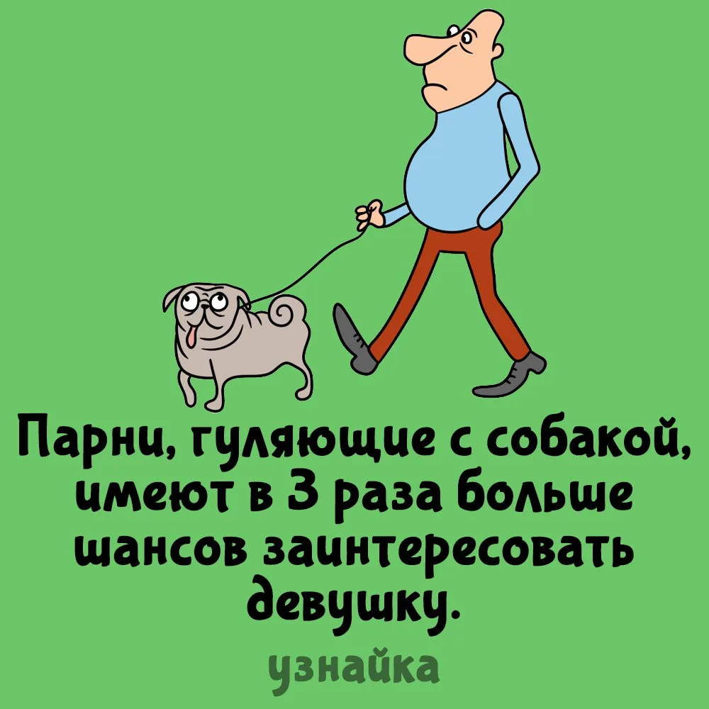 Срочно заводим хвостиков!🐶
Узнайка